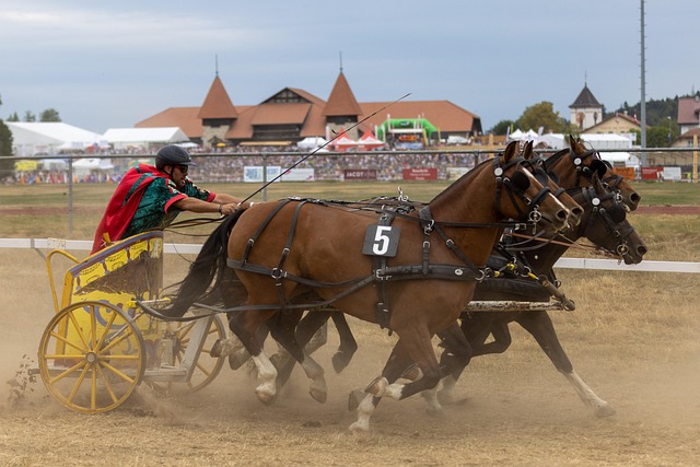 这不仅关乎 这不仅关乎