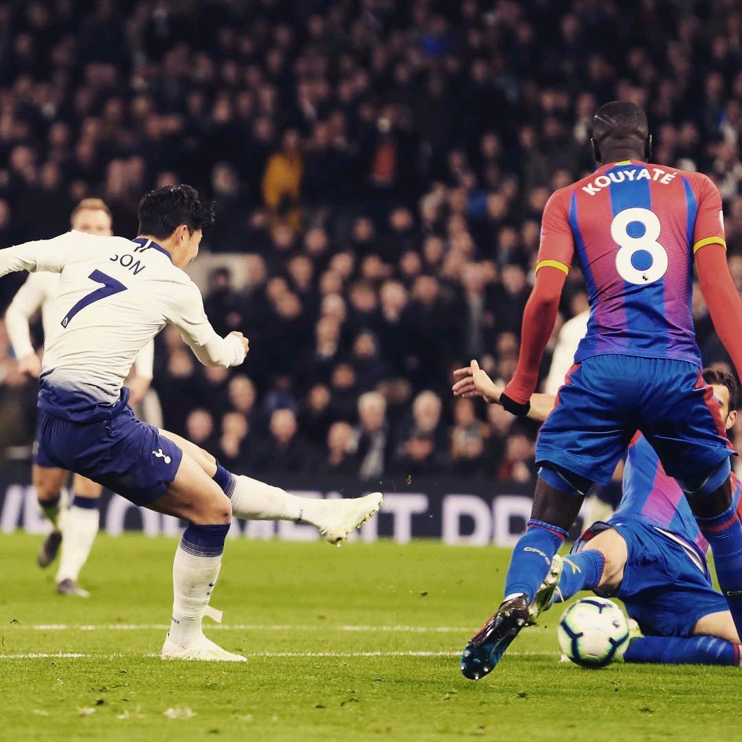 部分球迷的 部分球迷的